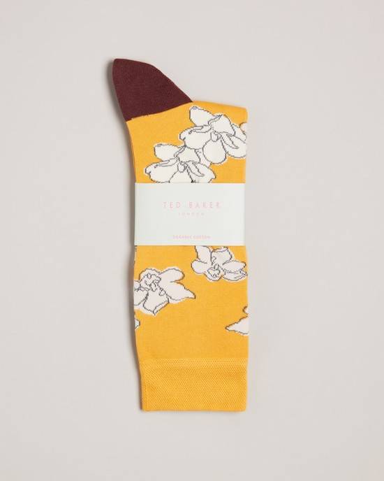 Calzini Ted Baker Britesk Uomo Gialle | WTYLZ1567