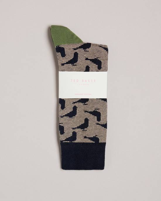 Calzini Ted Baker Pidgsok Uomo Blu Marino | AJUQI8106