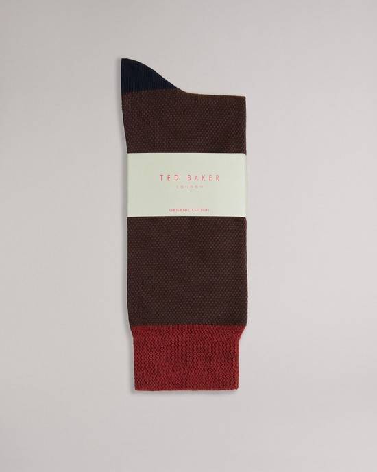 Calzini Ted Baker Tedtext Uomo Arancioni | UQIXZ9648