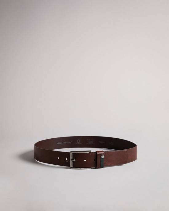 Cinture Ted Baker Keepsak Uomo Marroni | QUMXO2301