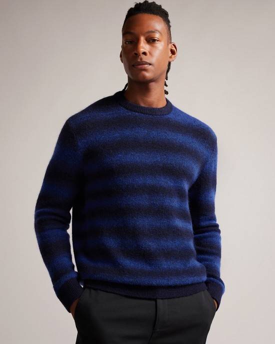 Jumpers Ted Baker Abulti Uomo Blu | WVISY5924