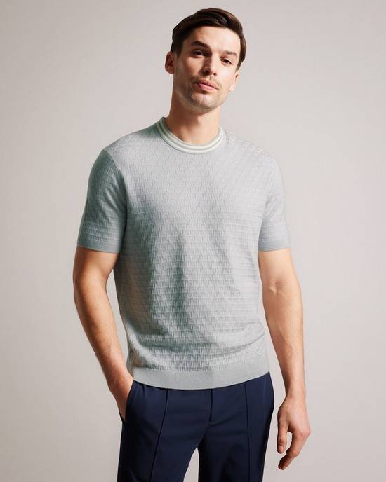 Jumpers Ted Baker Hanam Uomo Grigie | DBMXF9418