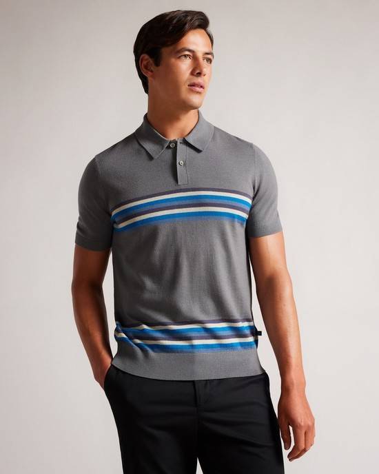 Magliette Polo Ted Baker Pital Uomo Blu | MKRCH2705