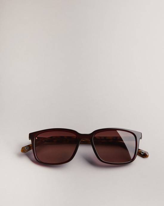 Occhiali da Sole Ted Baker Farlei Uomo Rosse Scuro | SFAIW8470