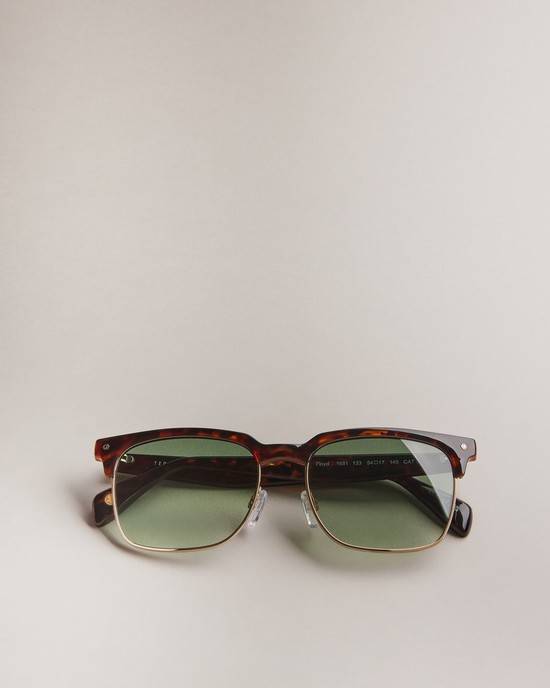 Occhiali da Sole Ted Baker Ffloyd Uomo Marroni Scuro | ZGYJM8370
