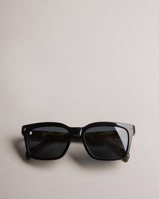 Occhiali da Sole Ted Baker Geoorge Uomo Marroni | JNMSC7208