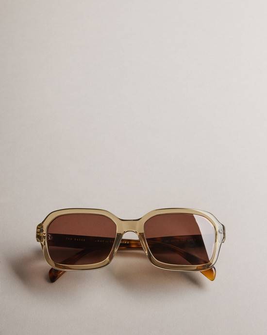 Occhiali da Sole Ted Baker Wyattee Uomo Grigie Chiaro | FRDJY6287