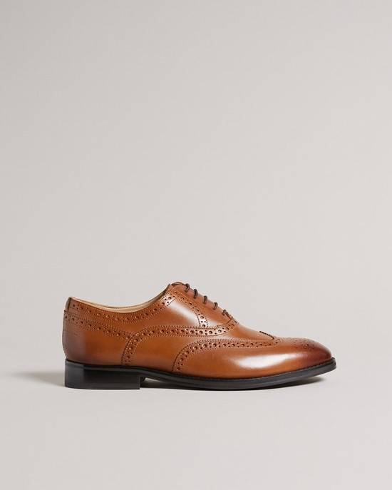 Scarpe Da Sera Ted Baker Amaiss Uomo Marroni | MQKIZ6132